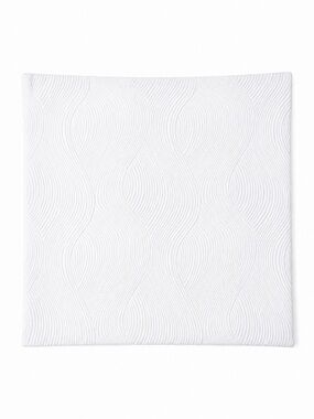 SET OF 3 WEst Elm white Cotton Euro Pillow 0781 Shams textured 25x25